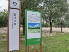 -东郊湿地公园