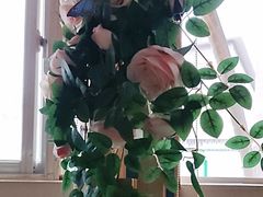 -金塔傣乡·云南民族特色菜·傣味手抓饭(金瓦路店)