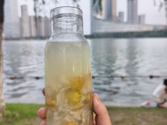 -天鹅湖体育公园