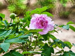 -大钟寺古钟博物馆