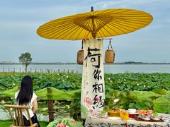-七的湖·晚芳亭·阳澄湖农家菜·大闸蟹(莲花岛店)