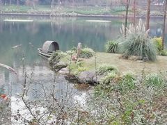 -重庆彩云湖湿地公园
