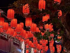 -梁溪河畔·吉府花园(南长街南下塘店)