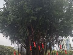 -狐尾山公园