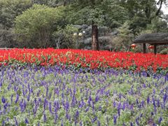 -广州市流溪河国家森林公园
