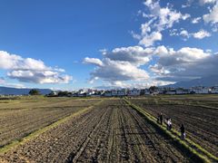 -喜林苑·稻田餐厅(品相府店)