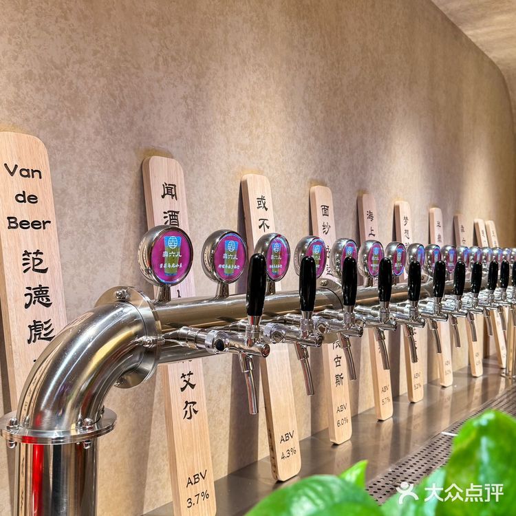 ️朝阳门新开了一家特色融合菜，中午领导请客