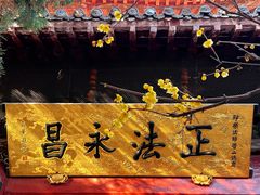 -洛阳白马寺