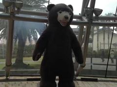 -济州岛泰迪熊博物馆