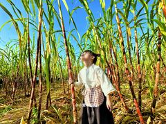 -汉长安城未央宫国家考古遗址公园