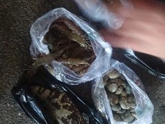 -四川人郑霞海鲜