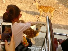 -清迈夜间动物园