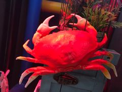 -蛮横肉蟹煲(印象城店)