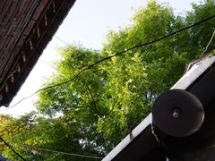 景观位-VOYAGE COFFEE(北锣鼓巷店)