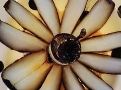 -杨记齐齐哈尔烤肉(总店)