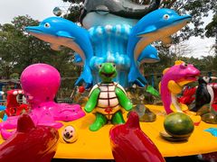 -广东茂名森林公园