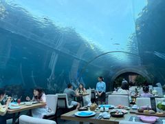 -海棠湾洲际-涛·海底餐厅·美人鱼·自助餐·海底隧道