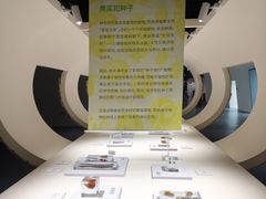 -中国湿地博物馆