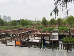 -五缘湾湿地公园