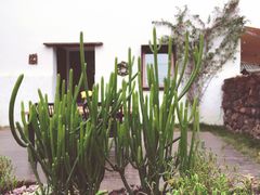 -悦哉·派对·草坪婚礼·围炉煮茶(三圣乡店)