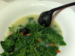 桑叶-山泉公馆酒家(广州东站店)
