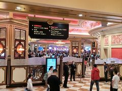 -澳门威尼斯人综合度假区