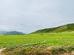 -扁都口生态休闲旅游区