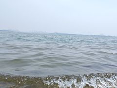 -金鸡湖景区