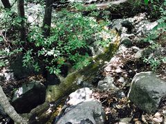 -白草畔自然风景区