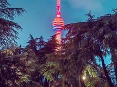 -龟山风景区-龟山电视塔