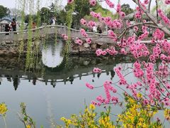 -无锡蠡湖国家湿地公园-蠡园