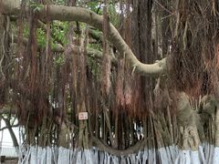 -胡里山炮台