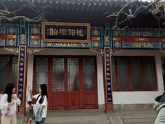 -桃花堤公园