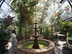 -The Grounds of Alexandria