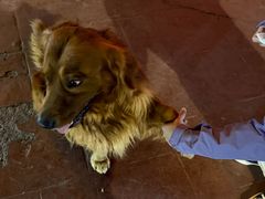 -3号仓库(晶水路店)