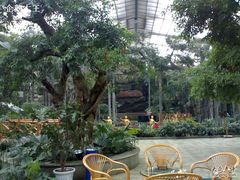 030320094644-绿色时代大酒店