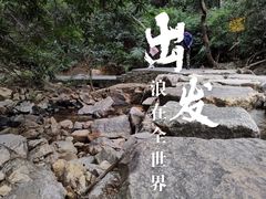 -东莞市大岭山森林公园