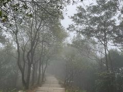 -梧桐山风景名胜区