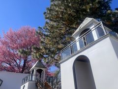 -云禾壹海景庄园餐厅