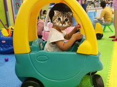 -悦宝园(昌平镇店)