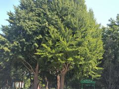-玲珑塔公园