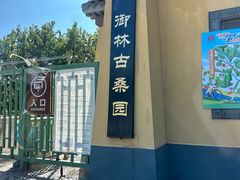 -御林古桑园