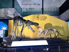 -湖南省地质博物馆