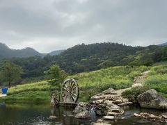-广州市石门国家森林公园