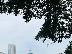 -白鹭洲公园