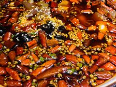 -雲蜀龙阁·金牌水煮鱼(方庄店)