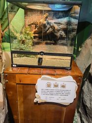 -酷嗒动物文化乐园(cutezoo西溪乐天城店)