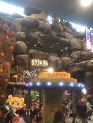 -卡通尼·Safari非洲探索乐园·生日会(金桥国际商业广场店)