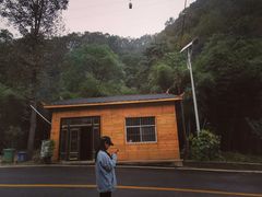 -栾川竹海野生动物园