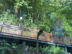 -峨眉山报国寺